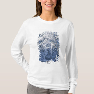 Camiseta EUA, Califórnia, Parque Nacional de Yosemite, 2