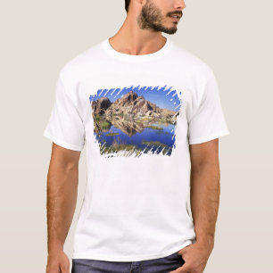 Camiseta EUA, Califórnia, Parque Nacional Joshua Tree,