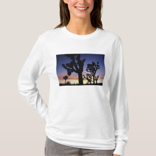 Camiseta EUA, Califórnia, Parque Nacional Joshua Tree,