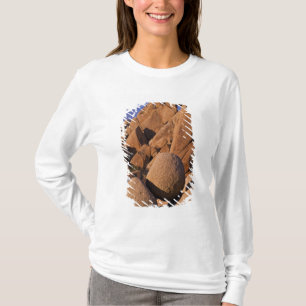 Camiseta EUA, Califórnia, Parque Nacional Joshua Tree.