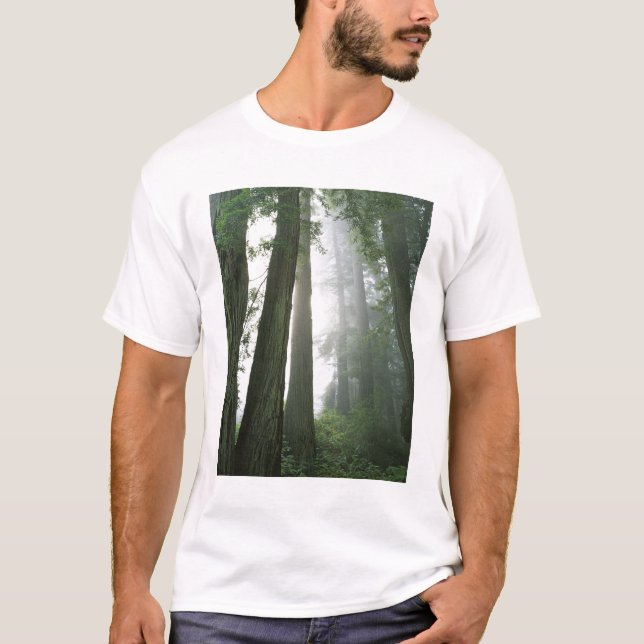 Camiseta EUA, Califórnia, Parque Nacional Redwood. (Frente)