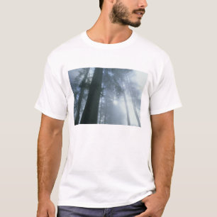 Camiseta EUA, Califórnia, Parque Nacional Redwood, Del