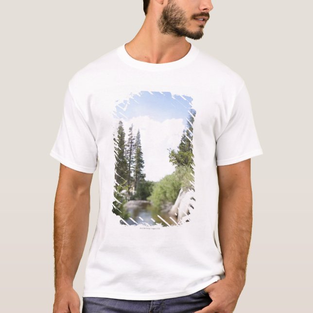Camiseta EUA, Califórnia, passagem do Sonora, paisagem com (Frente)