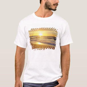 Camiseta EUA, Califórnia, San Diego. La Jolla Shores