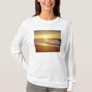 Camiseta EUA, Califórnia, San Diego. La Jolla Shores