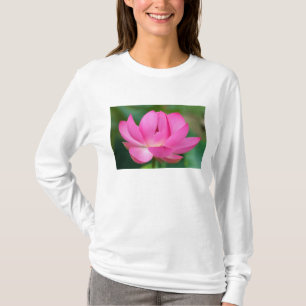Camiseta EUA; Carolina do Norte; Flor de lótus