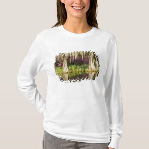 Camiseta EUA, Carolina do Sul, Charleston. Árvores de Cipre
