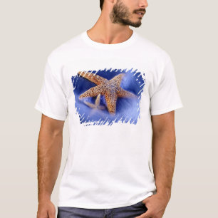 Camiseta EUA, Carolina do Sul, Ilha Hilton Head. Dois