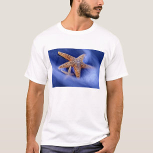 Camiseta EUA, Carolina do Sul, Ilha Hilton Head. Dois