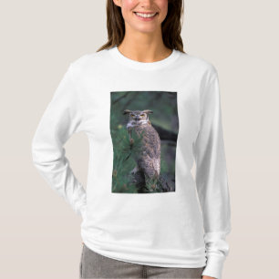 Camiseta EUA, CO, Colorado Springs. Coruja Buraqueira