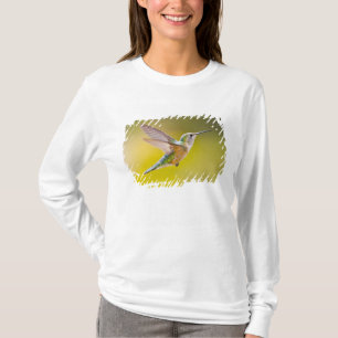 Camiseta EUA, Colorado, Condado de Summit, Heeney. Vista la