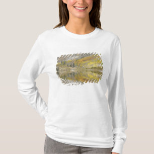 Camiseta EUA, Colorado, Floresta Nacional White River, 2