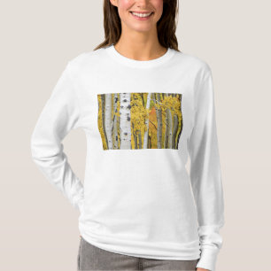 Camiseta EUA, Colorado, Montanhas Rochosas. Álamo íntimo
