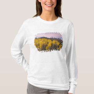 Camiseta EUA, Colorado, Montanhas Rochosas. Amanhecer em S