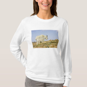 Camiseta EUA, Colorado, Montanhas Rochosas, Monte Evans,