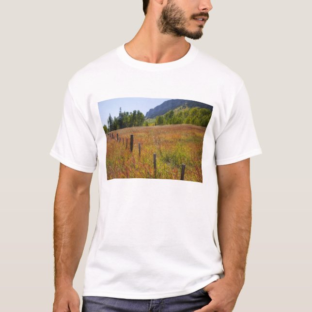 Camiseta EUA, Colorado, San Juan National Forest, junto (Frente)