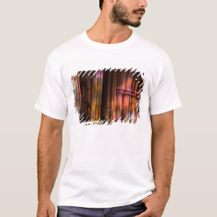Camiseta EUA, DC, Washington, Catedral Nacional de Washingt