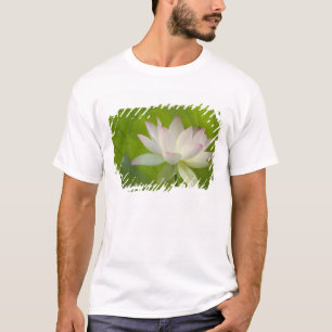 Camiseta EUA, DC, Washington, Kenilworth Aquático