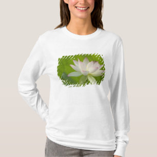 Camiseta EUA, DC, Washington, Kenilworth Aquático