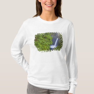Camiseta EUA, Eagle Creek, Columbia Gorge, Oregon. 2