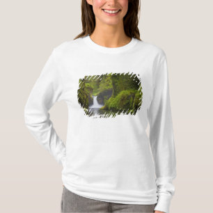 Camiseta EUA, Eagle Creek, Columbia Gorge, Oregon. 3