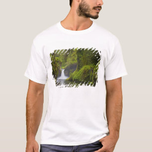 Camiseta EUA, Eagle Creek, Columbia Gorge, Oregon. 3