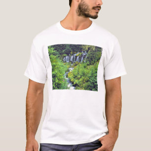 Camiseta EUA, Estado de Washington, Mt Adams Wilderness. Gê