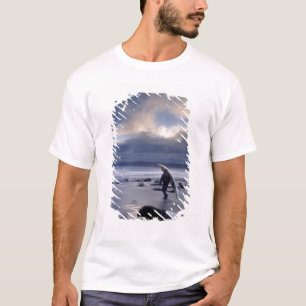 Camiseta EUA, Estado de Washington, Parque Nacional Olímpic