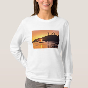 Camiseta EUA, Estado de Washington, Parque Nacional Olímpic