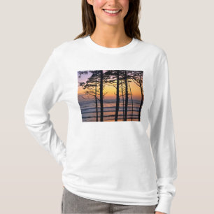 Camiseta EUA, Estado de Washington, PN Olímpico. Delicado