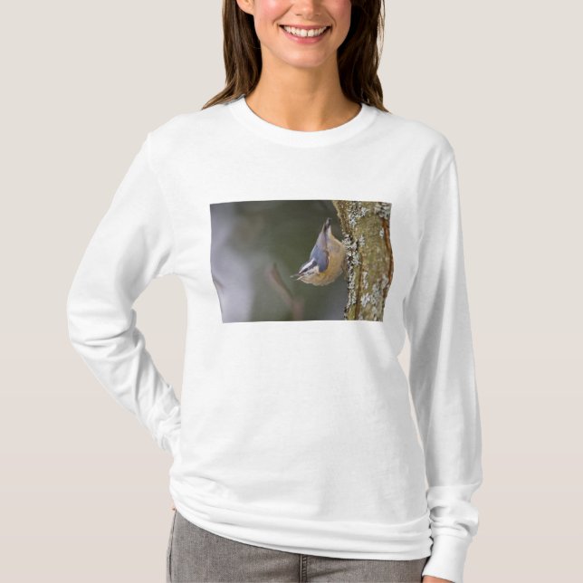 Camiseta EUA, Estado de Washington, Red-Brested Nuthatch, (Frente)