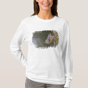 Camiseta EUA, Estado de Washington, Trepadeira-azul