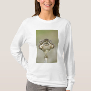 Camiseta EUA, Flórida, Cabo Coral, Fechamento da toca