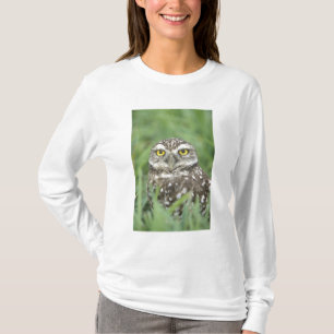 Camiseta EUA, Flórida, Cape Coral, Coruja-buraqueira (Athen