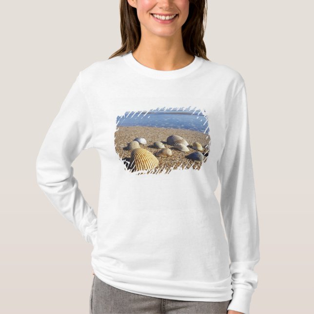 Camiseta EUA, Flórida, Conchas Marinhas Costeiras (Frente)