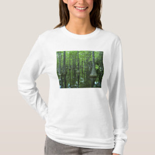 Camiseta EUA, Flórida, Floresta Nacional Apalachicola, Care