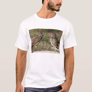 Camiseta EUA, Flórida, Ilha Sanibel. Close-up de
