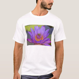 Camiseta EUA, Flórida, Lago Kissimmee. Rã de folha verde