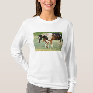 Camiseta EUA, Flórida, Potra Paint recém-nascida