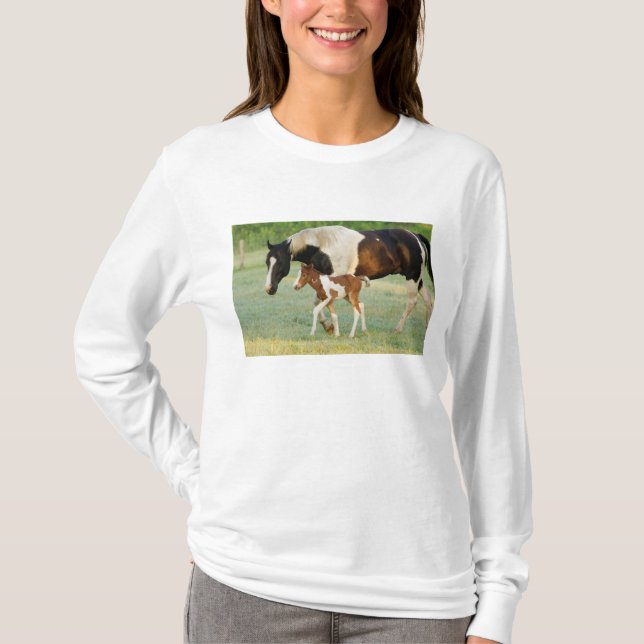 Camiseta EUA, Flórida, Potra Paint recém-nascida (Frente)