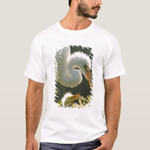 Camiseta EUA, Flórida, St. Augustine, Fazenda de jacarés