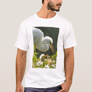 Camiseta EUA, Flórida, St. Augustine, Fazenda de jacarés