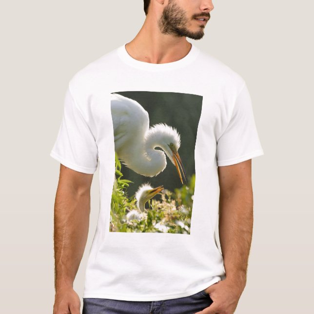 Camiseta EUA, Flórida, St. Augustine, Fazenda de jacarés (Frente)