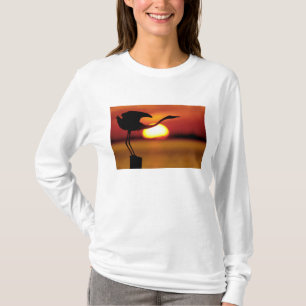 Camiseta EUA, Flórida, St. Petersburg, Fort De Soto