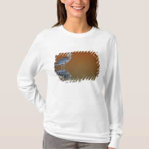 Camiseta EUA, Flórida, St. Petersburg, Fort De Soto 2