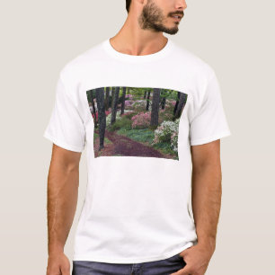 Camiseta EUA, Geórgia, Callaway Gardens. Caminho