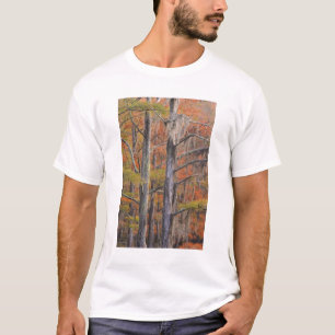 Camiseta EUA, Geórgia, George Smith State Park, Cipreste