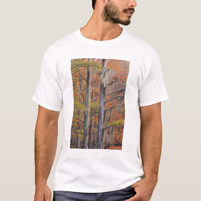 Camiseta EUA, Geórgia, George Smith State Park, Cipreste (Frente)