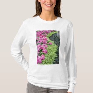Camiseta EUA, Geórgia, Pine Mountain. Uma borda de primaver