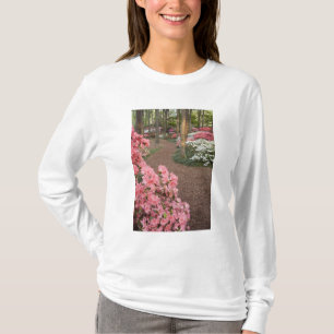 Camiseta EUA, Geórgia, Pine Mountain. Uma passagem através